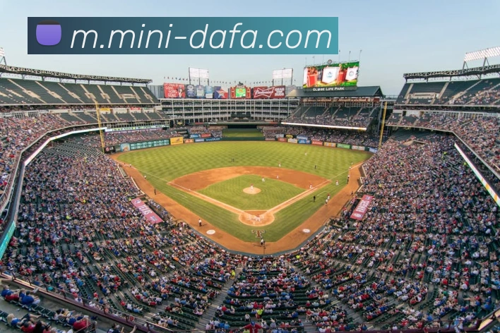 App Interface Preview